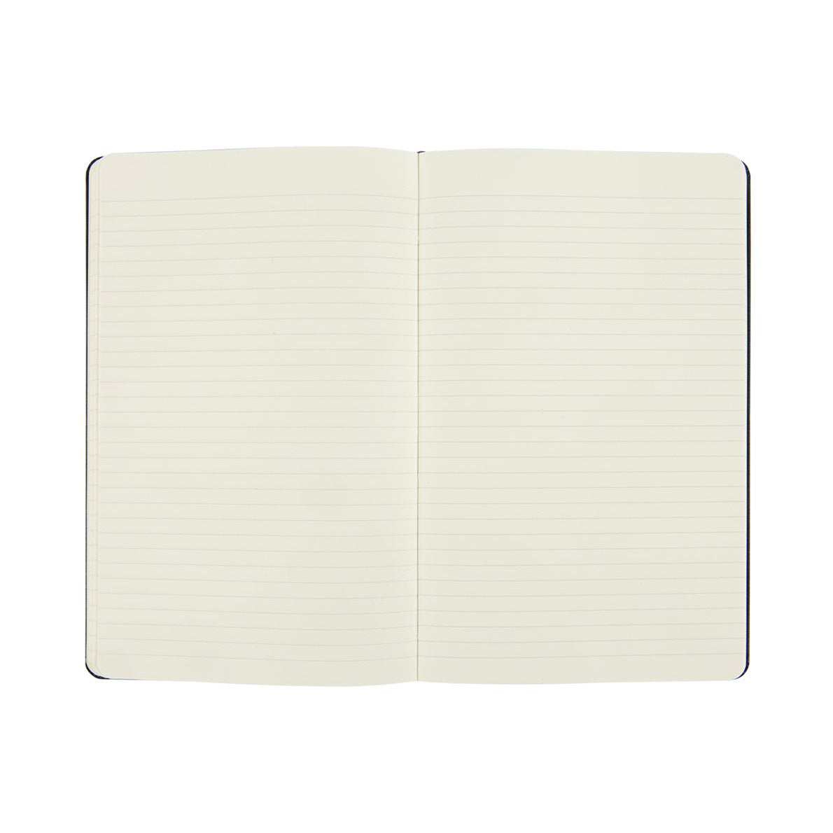 Moleskine Classic Large Notebook Hard Cover Ruled