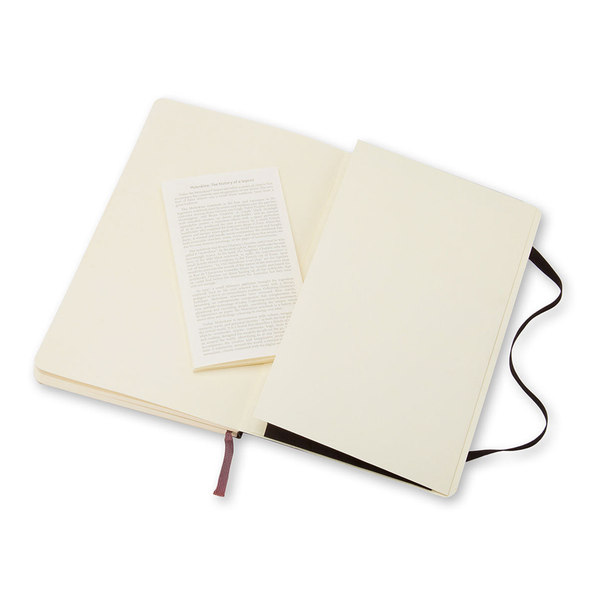Moleskine Classic Large Notebook Soft Cover Ruled